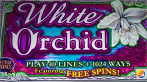 white orchid slot machine youtube.